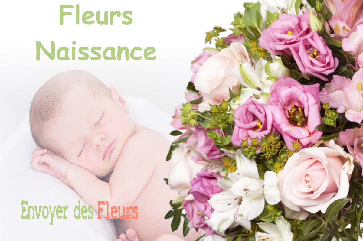 lIVRAISON FLEURS NAISSANCE à SAINT-HILAIRE-DE-BRENS